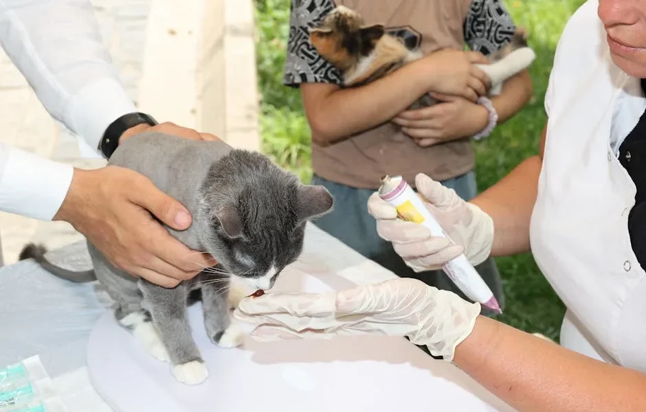 Compounded Medications for Pets: Custom Treatment Guide 2025