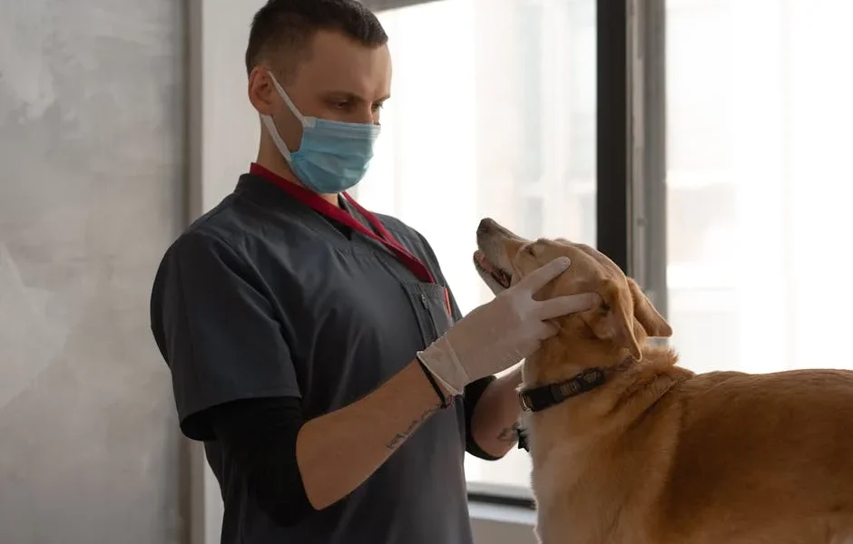 How to Prepare Your Pet for Surgery: Pre-Op Checklist and Recovery Tips
