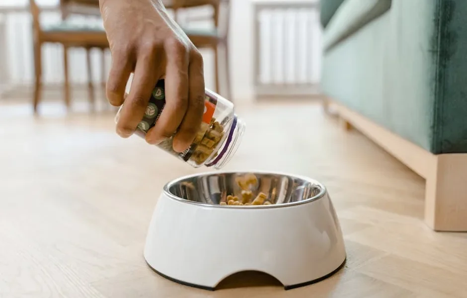 Complete Guide to Balanced Pet Nutrition: What Owners Need to Know