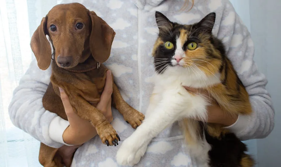 Top 5 Pet DNA Tests Compared 2025: Accuracy & Value Guide