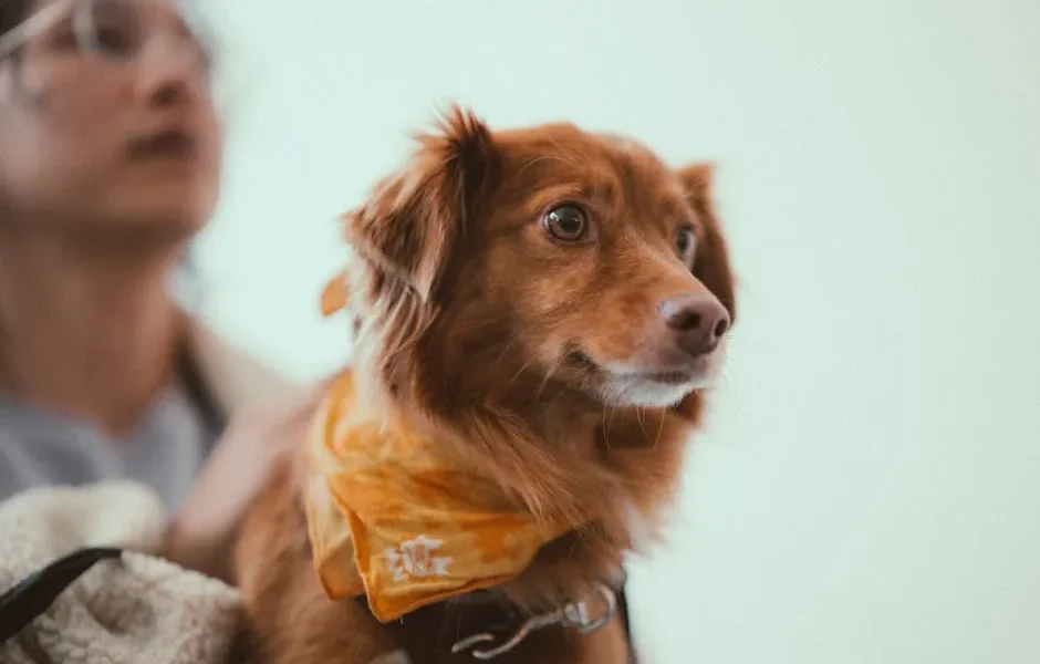 Pet Insurance Guide 2025: Complete Coverage Comparison & Tips