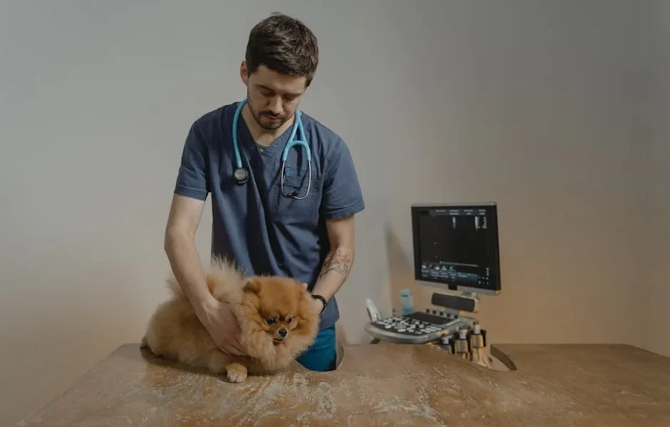 Pet Annual Wellness Exam Guide: What to Expect & Why It Matters