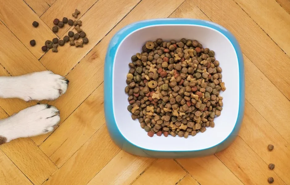 Essential Nutrients for Dogs & Cats: Complete Pet Diet Guide 2025