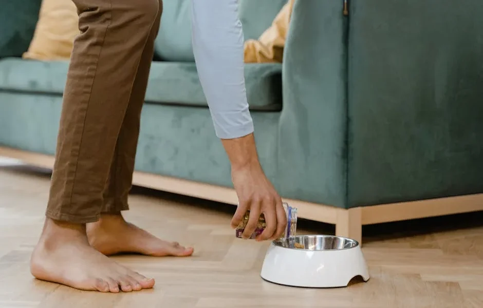 Best Pet Water Fountains 2025: Ceramic vs Stainless Steel vs Plastic