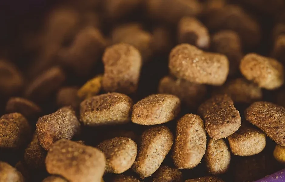 Feeding Multiple Pets: Manage Different Dietary Needs 2025 Guide