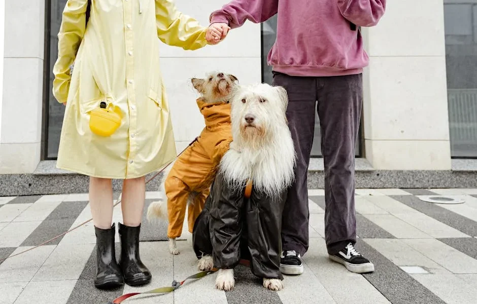 How to Budget for Pet Care in 2025: Annual Costs by Pet Type & Size