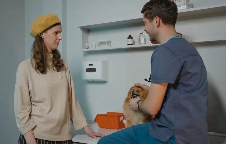 How to Choose the Right Veterinarian for Your Pet’s Long-Term Preventive Care Needs