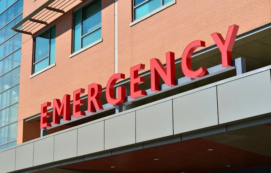 How to Evaluate Emergency Vet Credentials: Finding 24-Hour Care