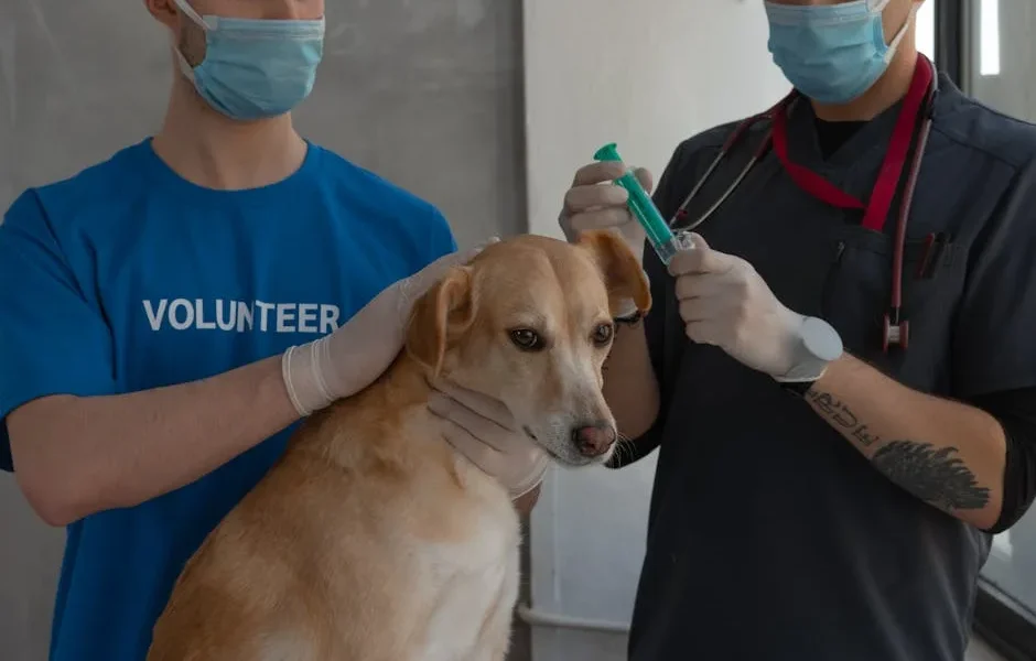How to Evaluate If Your Vet Offers Specialized Care for Dogs