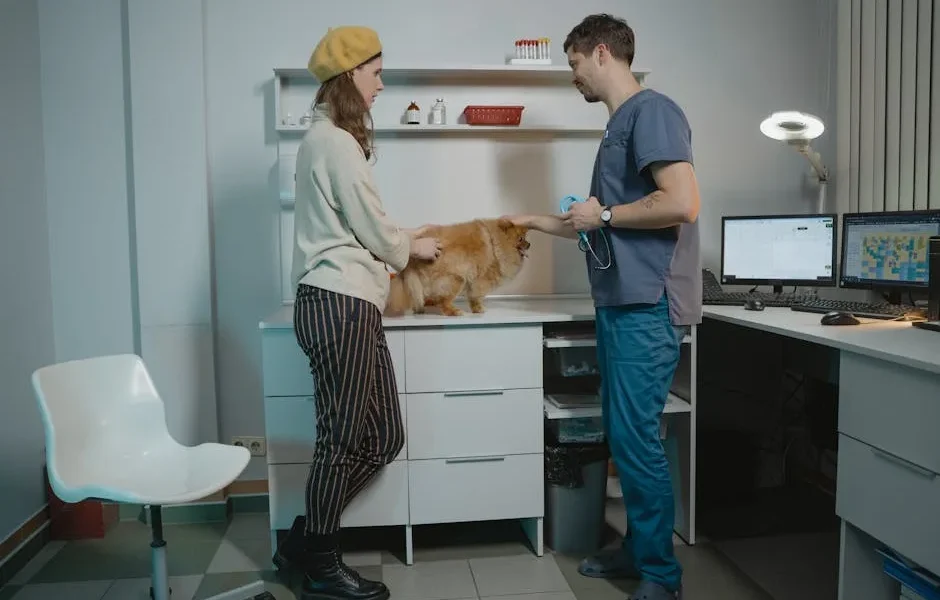 How to Request and Understand Your Pet’s Complete Medical History (2025)