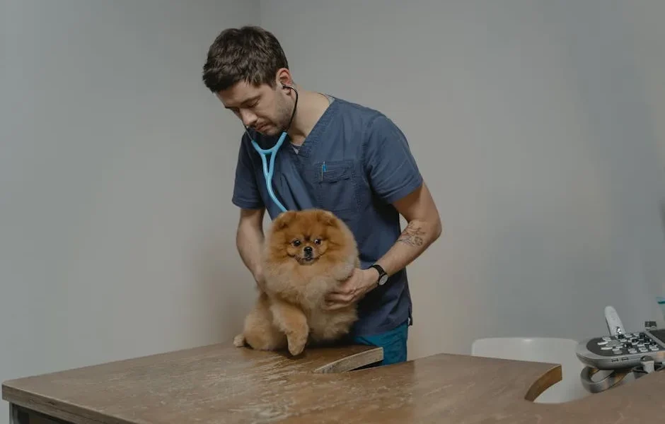 How to Spot Warning Signs Your Pet’s Preventive Care Clinic Is Falling Short