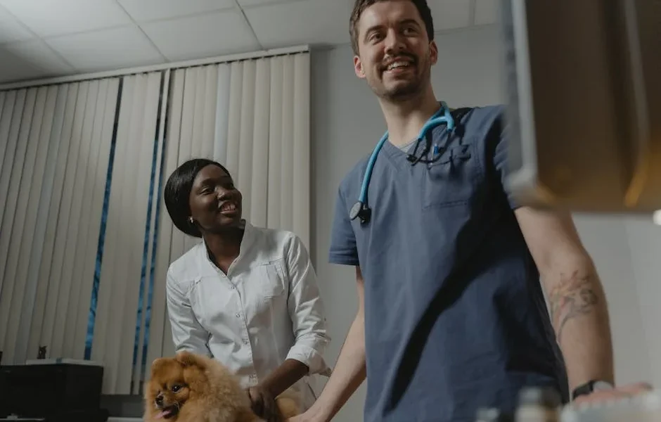 How to Understand Your Pet’s Medical Diagnosis: Vet Guide 2026