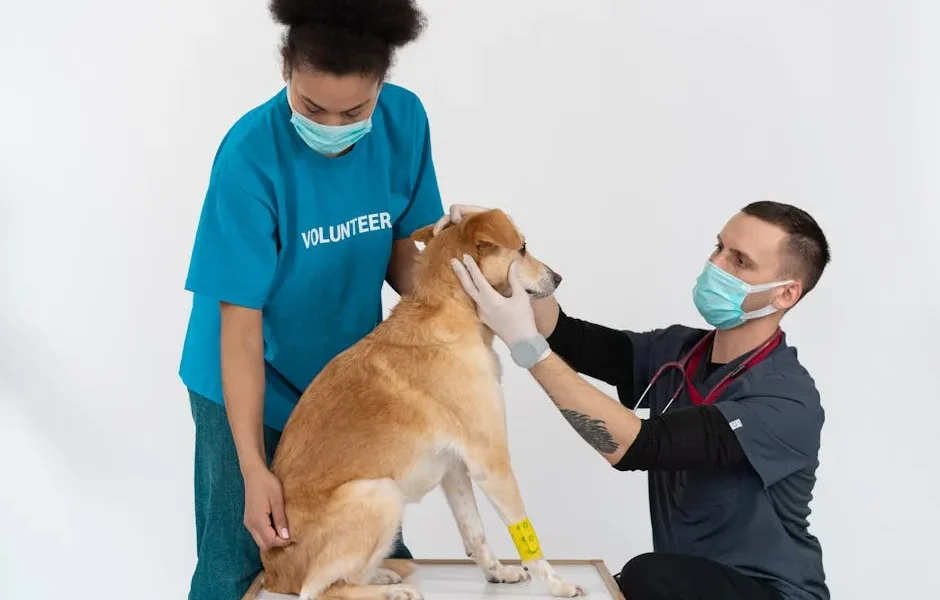 How to Verify a Vet Clinic’s Credentials Before Booking (2025)