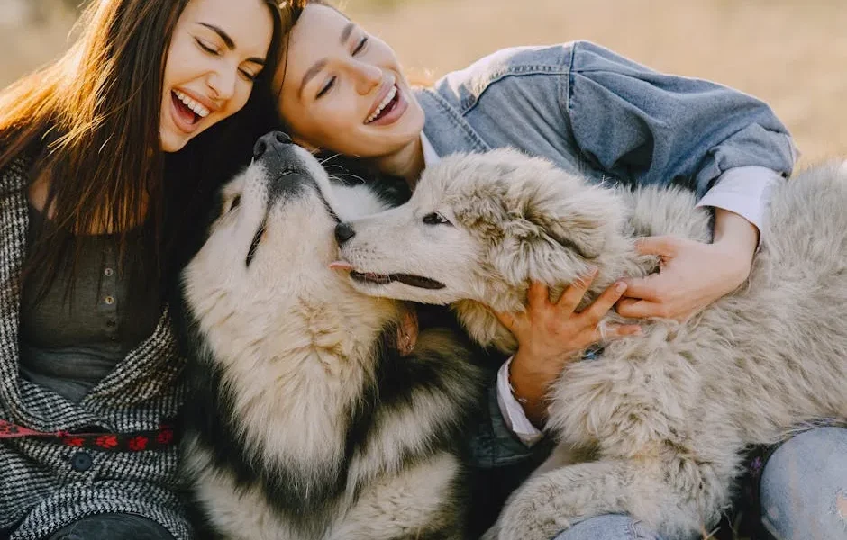 Multi-Pet Insurance Discounts 2025: How to Save on Multiple Animals