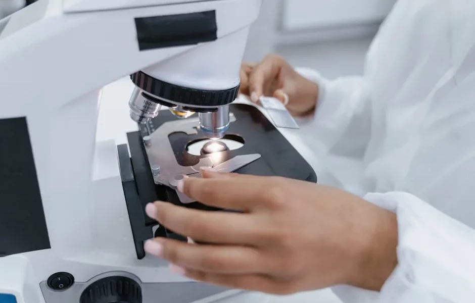 Personalized Pet Nutrition DNA Testing 2025: Science vs Hype – Vet Expert