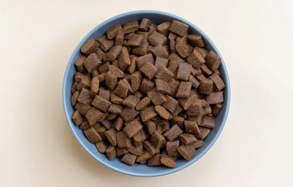 Switching Pet Food Safely: Veterinary Guide to Diet Transitions Without Digestive Upset 2025